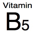 vitamin B5 foods