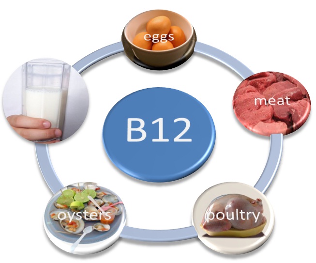 vitamin B12 foods